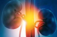 The developers will present these data at an upcoming medical meeting and plan to begin discussions with regulatory authorities.