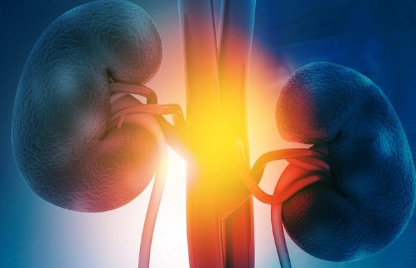 The developers will present these data at an upcoming medical meeting and plan to begin discussions with regulatory authorities.