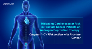 Cardiovascular Disease Risk in Men with Prostate Cancer