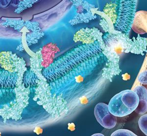 Myeloproliferative Neoplasms: Translating New Discoveries Into Better Outcomes, Better Quality of Life