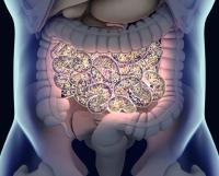 Investigators are actively enrolling patients with locally advanced rectal cancer in the phase 1b FORTRESS trial evaluating NG-350A plus chemotherapy.