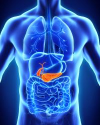Daraxonrasib Was Approved By the FDA in Pancreatic Cancer: © nerthuz - stock.adobe.com