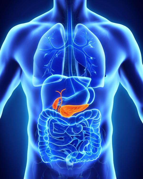 Daraxonrasib Was Approved By the FDA in Pancreatic Cancer: © nerthuz - stock.adobe.com
