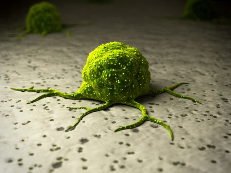 Early Data Show Clinical Benefit With Gavocabtagene Autoleucel in Advanced Solid Tumors