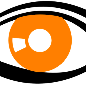 A Computer Model of the Retina Reveals Some of the Eye's Architecture