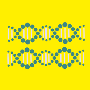 Genetic Databases Bump Up Against Privacy Concerns