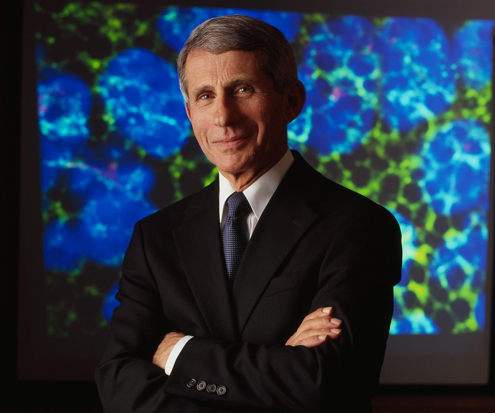 Anthony Fauci, director of the National Institute for Allergy and Infectious Diseases (photo courtesy of NIAID)