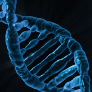 The Data Toolkit That Can Analyze More Than 1M Cells