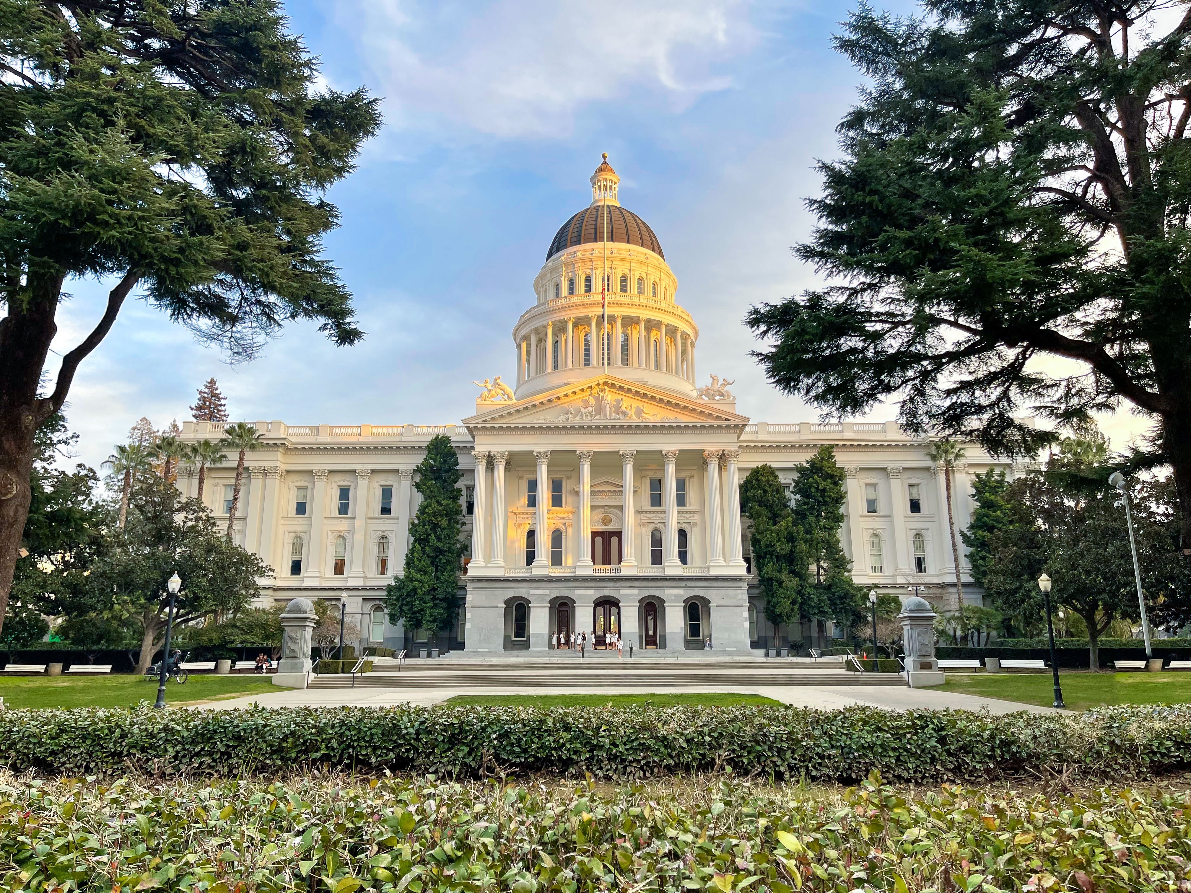 Image credit: ©diegomezr - stock.adobe.com