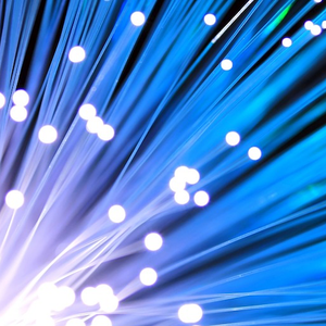 Built First... But Built to Last?