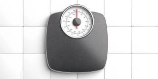 Image: ©Rawf8 - stock.adobe.com