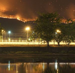 Interoperability During Disasters: Lessons from Tragedy