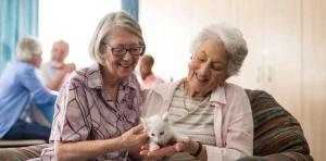 Only One Quarter of Nursing Homes Confident They’ll Survive the Year, Survey Shows