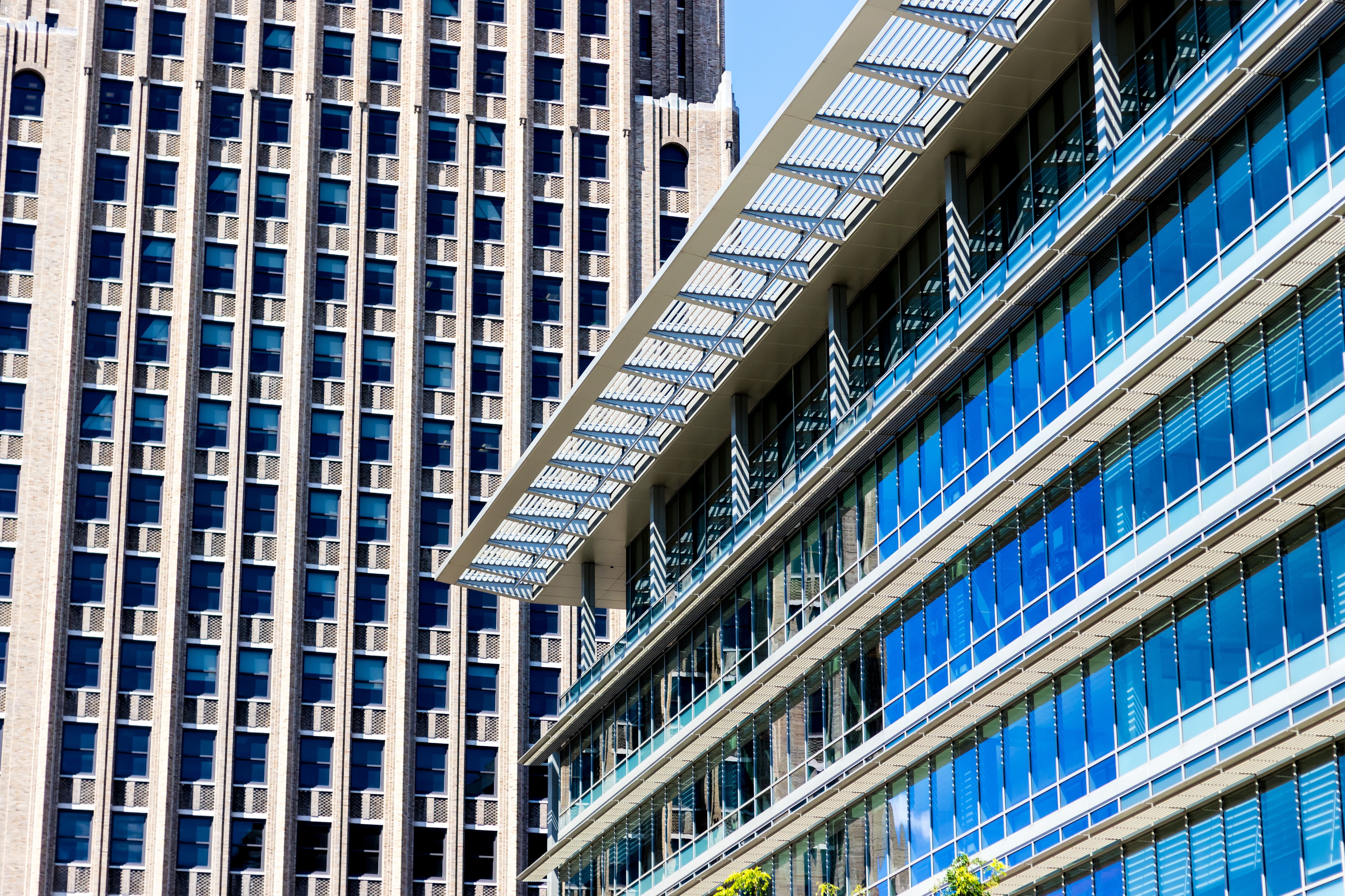 Image credit: @Leonard - stock.adobe.com