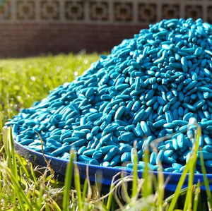 How an Algorithm Helped Rat Poison Save the Life of a President