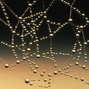 Ensuring Portability and Patient Ownership of Health Data: The Great Potential of ONC's Proposed Interoperability Rules