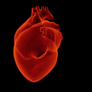 Pinpointing Precision Medicine's Place in Cardiology