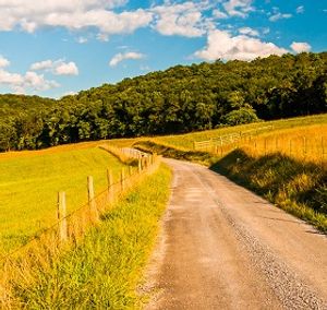 Using Telehealth to Address Rural Diabetes