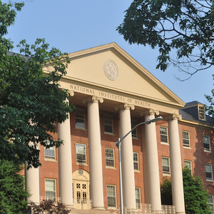 The NIH Makes a Big Push for Big Data