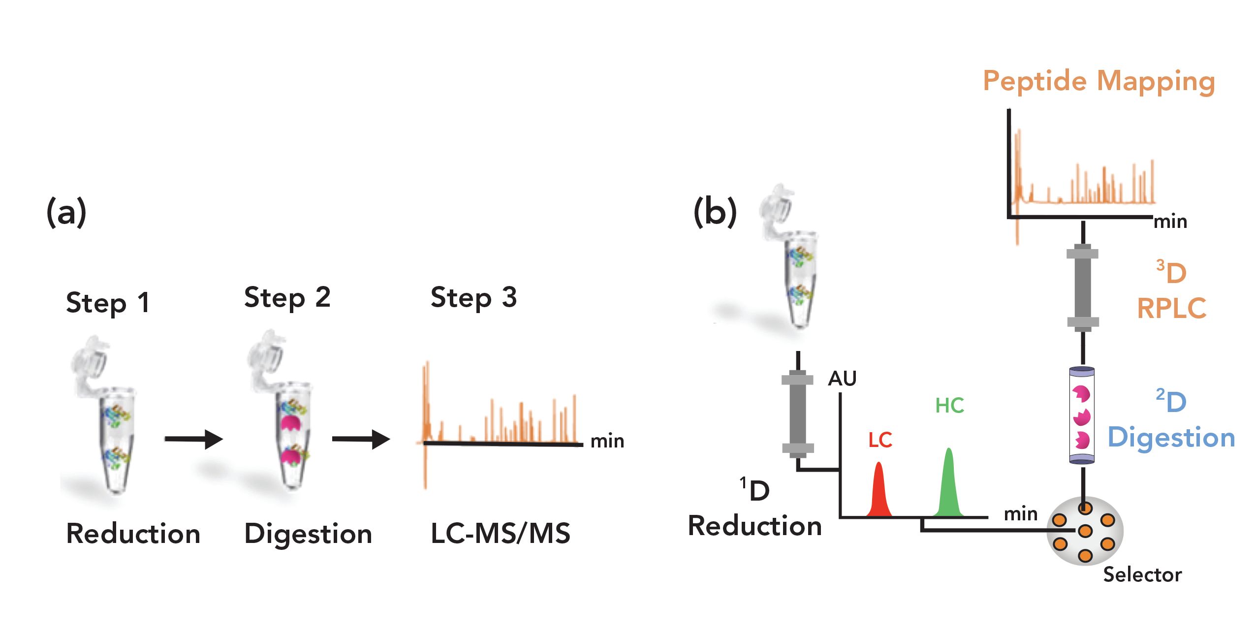 Utilizing Multidimensional Lc Ms For Hydroxyl Radical Footprinting Analysis