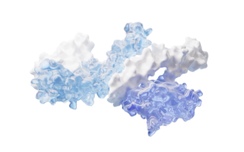 Protein structure with biological concept, 3d rendering. | Image Credit: © Vink Fan - stock.adobe.com