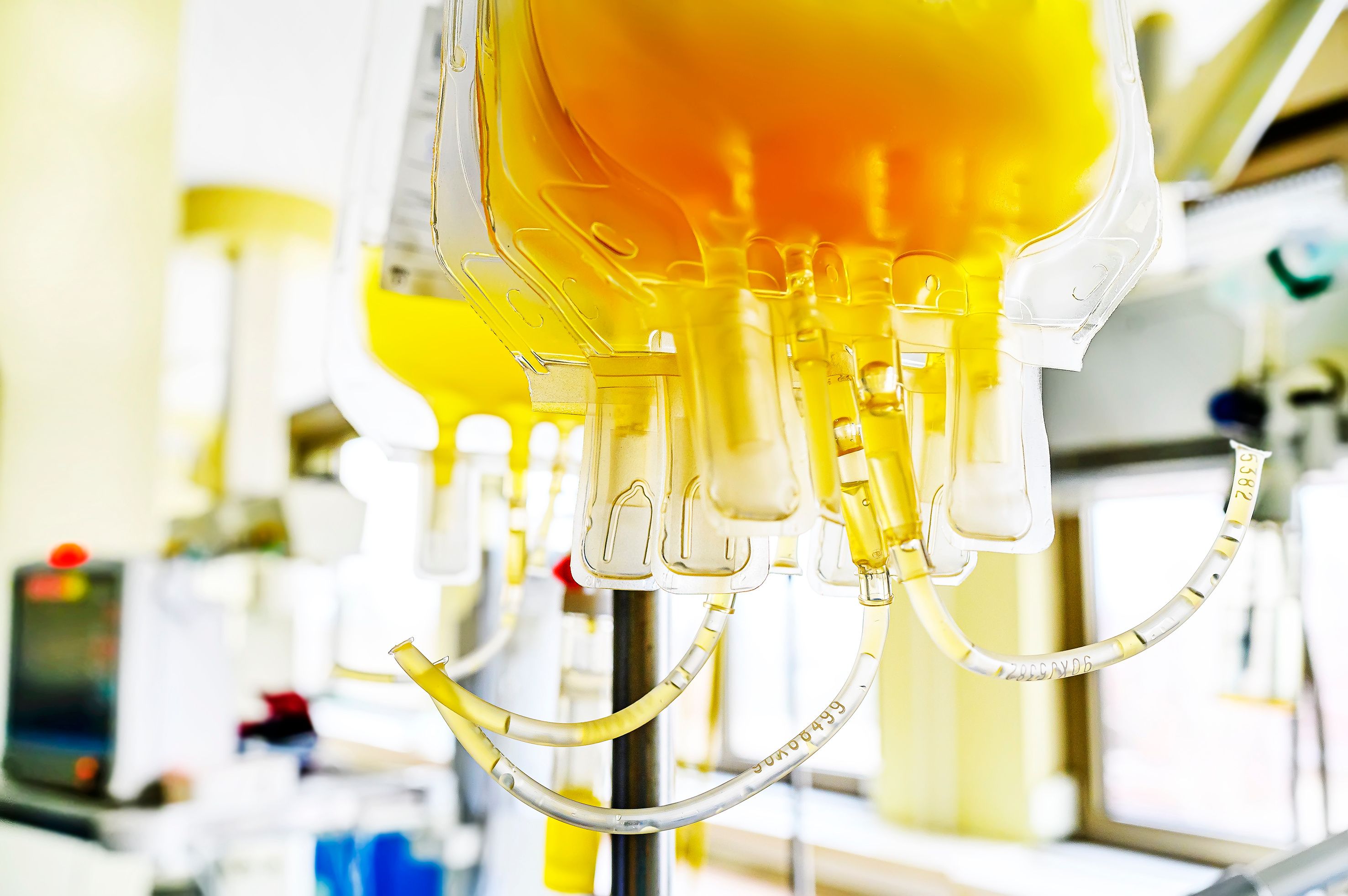 Bags of yellow fresh frpzen plasma ready for transfusion. | Image Credit: © pirke - stock.adobe.com
