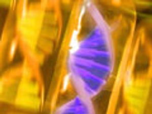 Current Applications of UHPLC in Biotechnology Part II: Proteins and Glycans