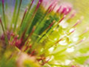 Ultra-High Resolution Chromatography Using 500 mm UHPLC Columns for Detection Of Hidden Sample Components