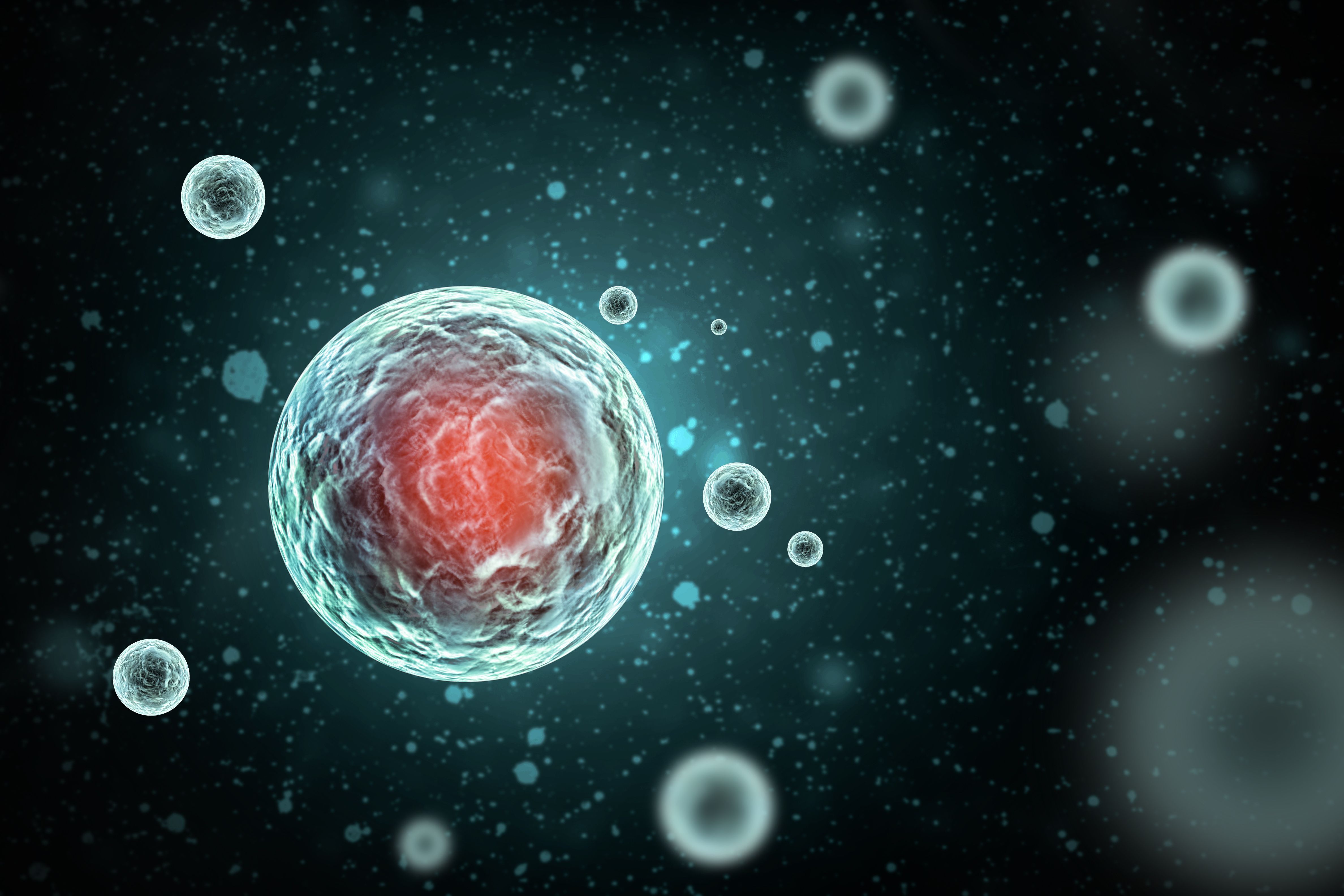 ASMS 2023: A Look at the Monday Morning Oral Session on Small Molecules