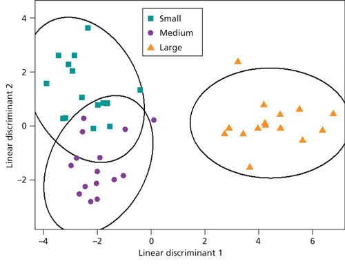 SpecCTMS1015_Markes_fig05_web-New-14452674846391445285424653.jpg