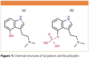 figure 1 L1563270006049.png