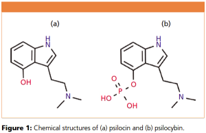 figure 1 L1563270006049.png