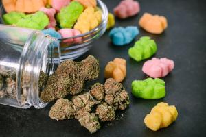 Study Shows Py-GC-MS Outperforms Traditional GC-MS for THC Edible Forensics