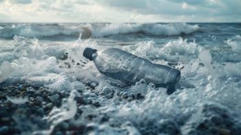 Pollution Concept Plastic Pet Bottle Washed Ashore by Waves (Generated with AI) | Image Credit: © TheWaterMeloonProjec - stock.adobe.com