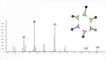 Introduction to LC-MS Fragmentation
