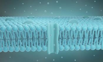 Cell membrane structure, Lipid bilayer 3d illustration | Image Credit: © Artur - stock.adobe.com