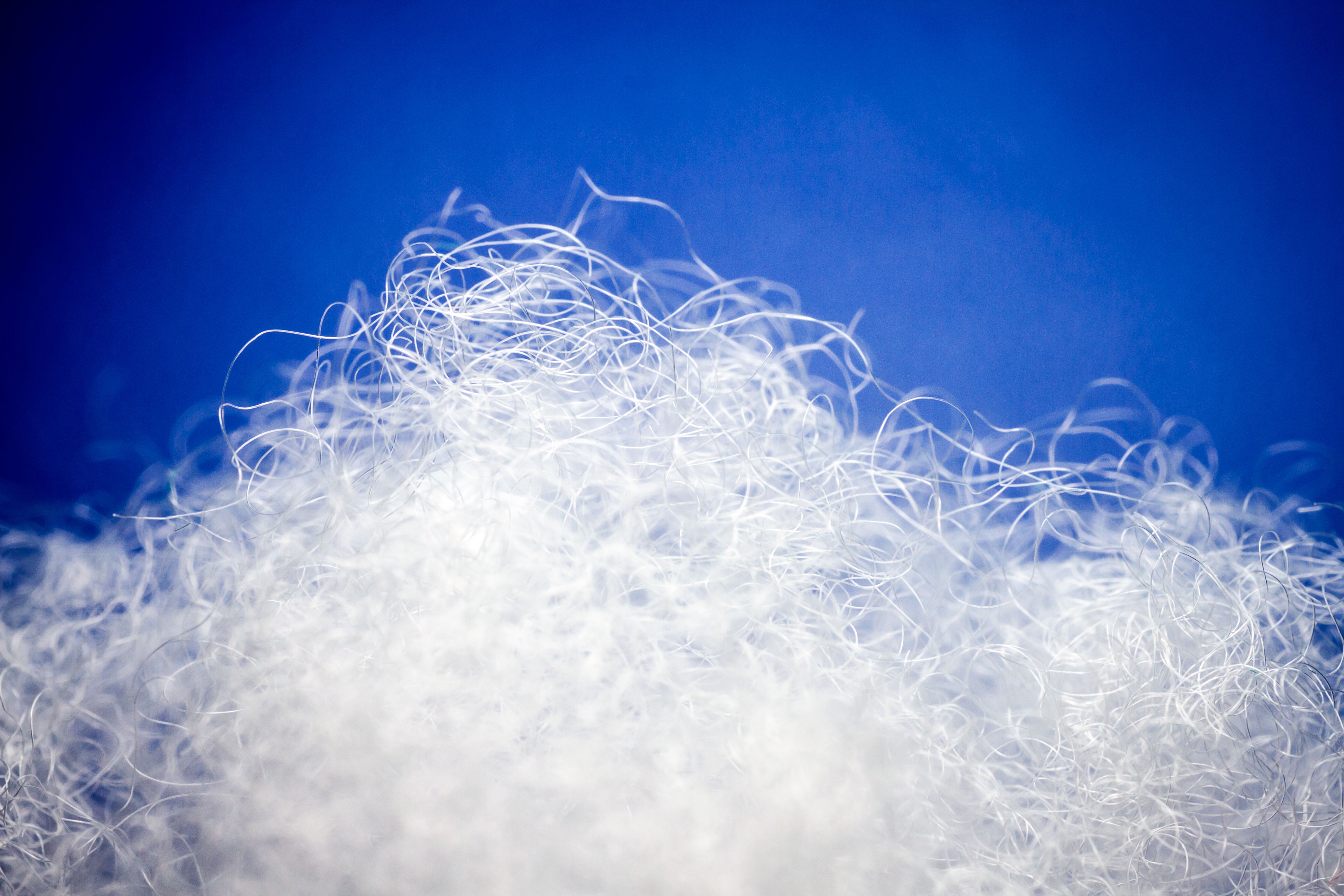Extreme macro of polyester stable fiber on blue background. Selective focus, shallow depth of field. Abstract dreamy background | Image Credit: © Taigi - stock.adobe.com
