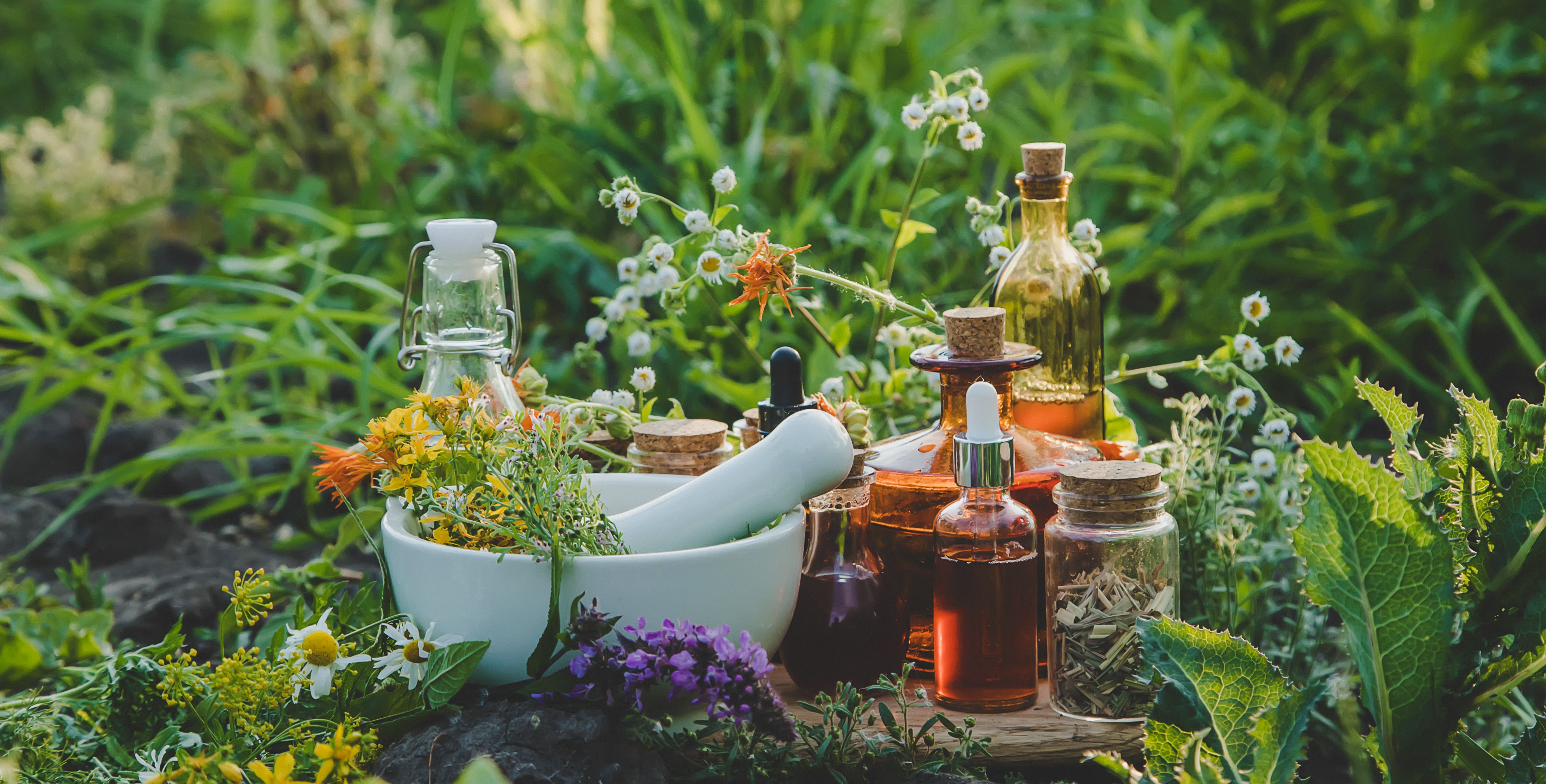 Medicinal herbs and tinctures alternative medicine. Selective focus. | Image Credit: © yanadjan - stock.adobe.com