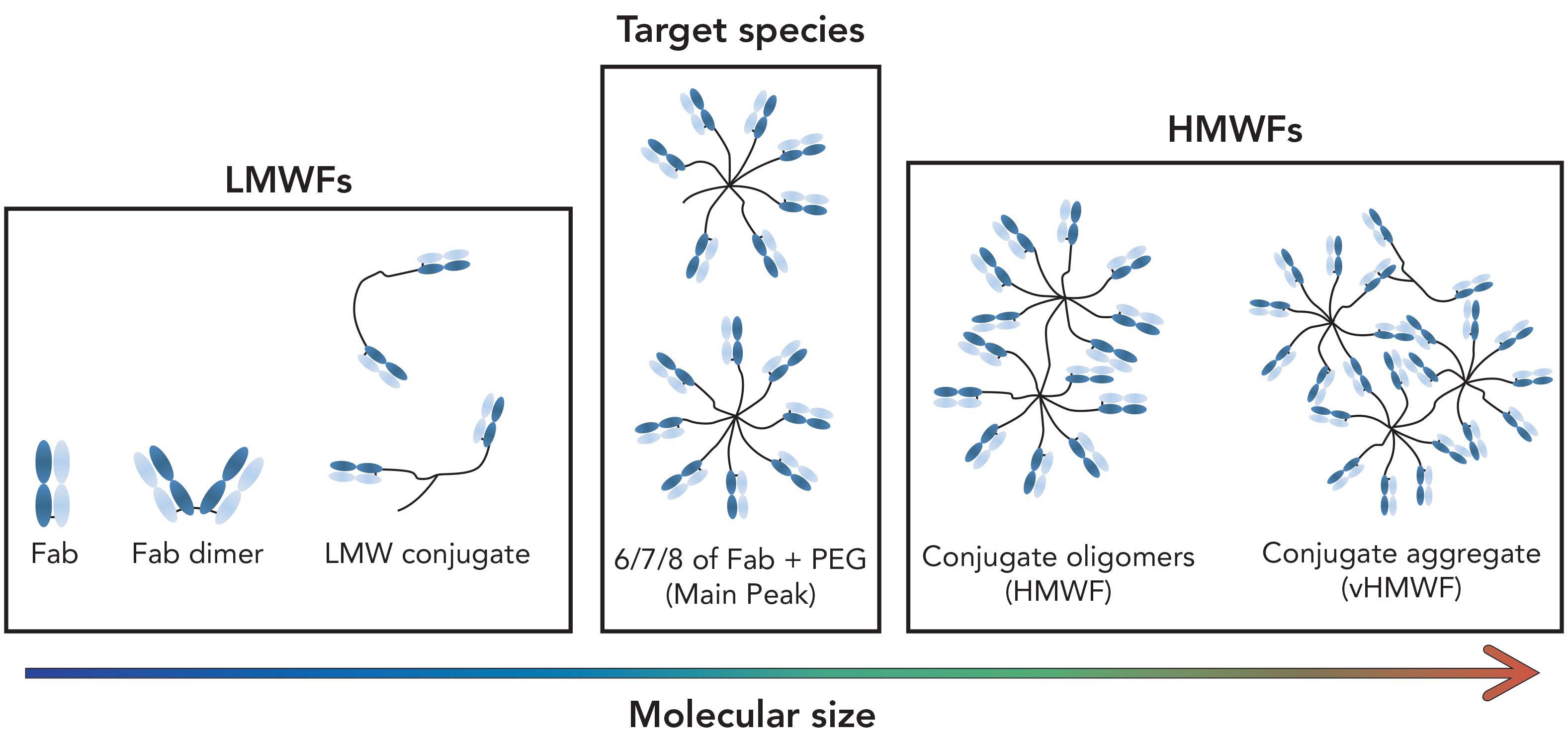 Development of a Size-Exclusion Chromatography Method to Characterize a ...