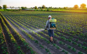 Farmer sprays a potato plantation with a sprayer. Chemical treatment. Mist sprayer, fungicide and pesticide. Effective crop protection of cultivated plants against insects and fungal. Field work | Image Credit: © Andrii Yalanskyi - stock.adobe.com