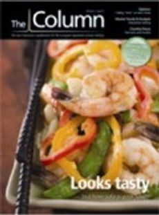 The Column-09-01-2006