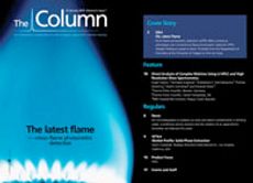 The Column-01-22-2010