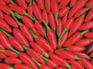 Simple and Fast Quantification of Capsaicinoids in Hot Sauces Using Monolithic Silica Capillaries and LC–MS