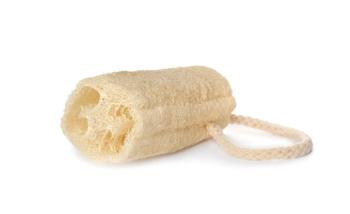 One natural loofah sponge isolated on white | Image Credit: © New Africa - stock.adobe.com