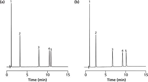 Application of Silica Monoliths for Bioanalysis