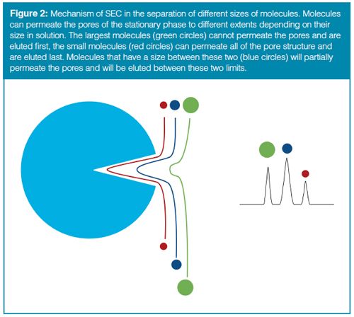 Characterizing SEC Columns for the Investigation of Higher-Order ...