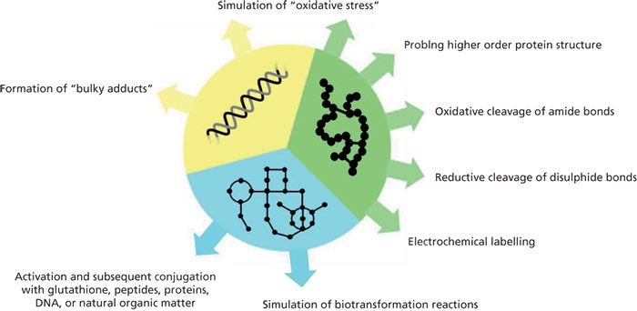 inlife glutathione review Glutathione, Cysteine & C, 100 capsules Omics Applications of Electrochemistry Coupled