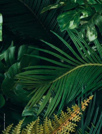 Image Credit: © Zamurovic Brothers - stock.adobe.com