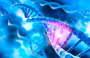 Automated DNA Fragment Analysis by High Performance Ultrathin-Layer Agarose Gel Electrophoresis