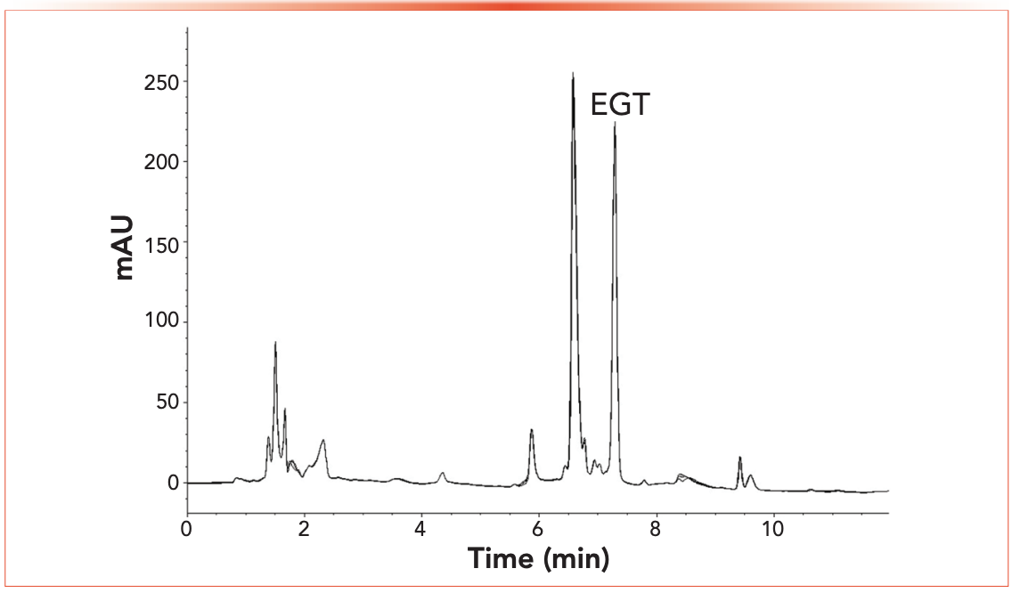 Aqueous Normal Phase Chromatography at Patrick Vigil blog